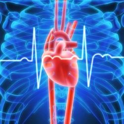 enfermedad cardiovascular